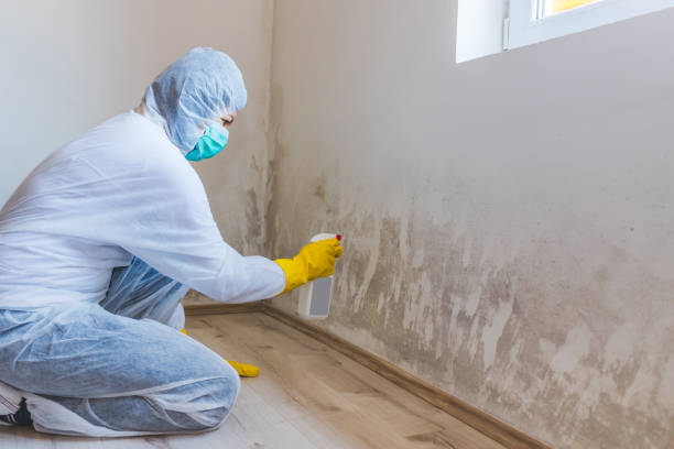 Crawl Space Mold Remediation treatment of floor joists in Voorhees